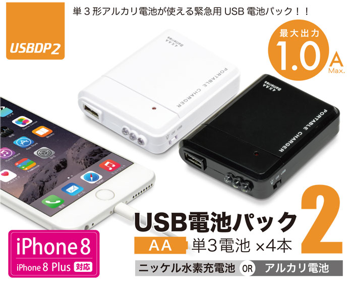 USBDP2 topイメージ