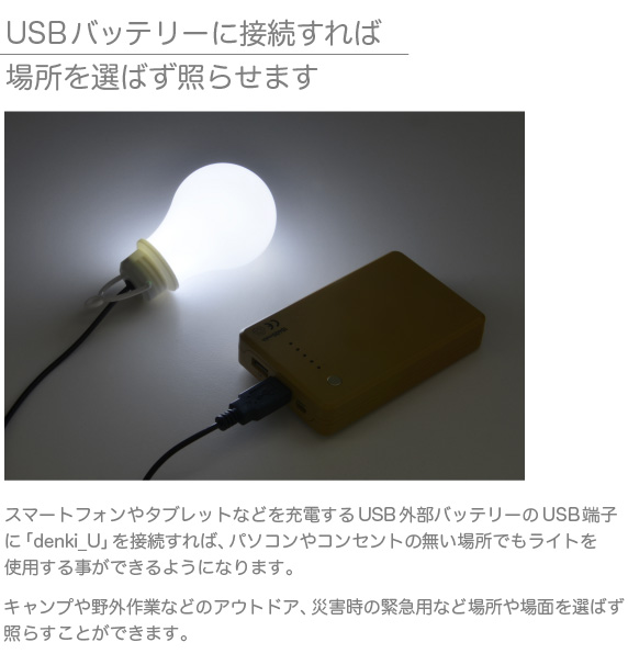 JTT Online Shop『USB 電球型 全方向タイプ LEDライト denki_U』