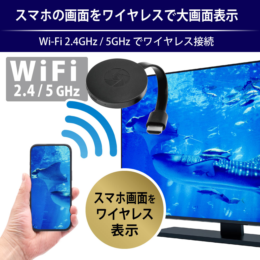 製品画像1
