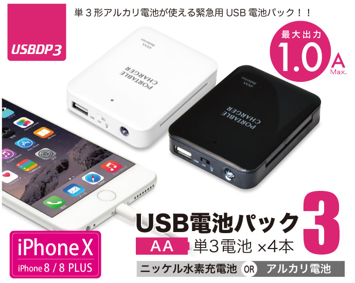 USBDP2 topイメージ