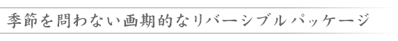 ƃ~Xg USB