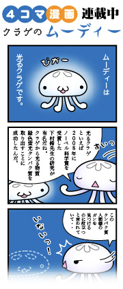 NQ̃[fB[