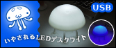 邢NQ̃[fB[Cg USB