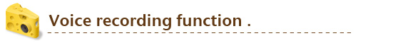Voice recording function.