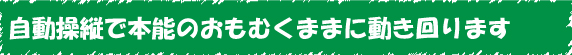 イモラジ 赤外線 RC