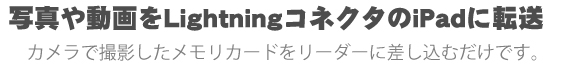 ʐ^⓮LightningRlN^iPadɓ]