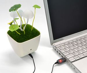 X̉ŏ LmR̃Cg USB with \[[