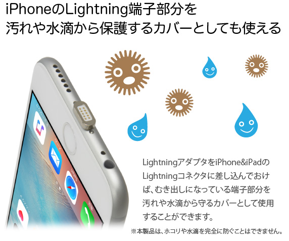 ΂ }Olbg LightningP[u