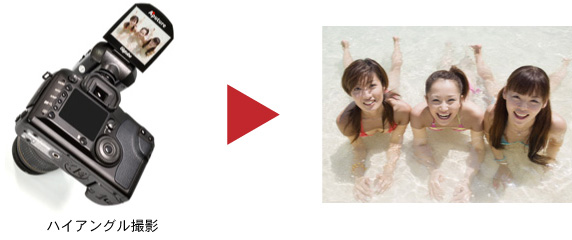 }`AOtt@C_[}Cs[XB