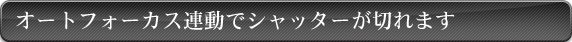 }`AOtt@C_[}Cs[XB