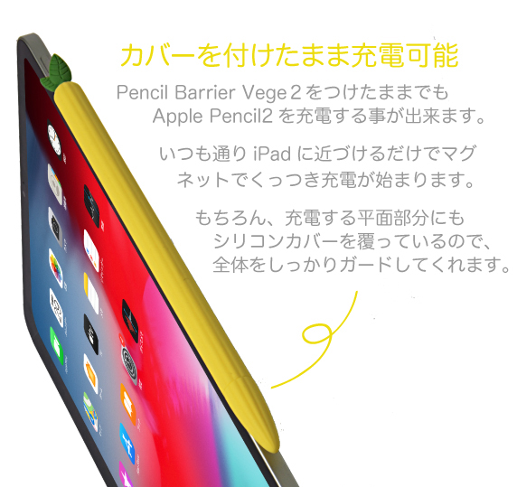 Apple Pencil2p VRJo[ Pencil Barrier Vege2