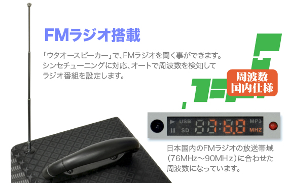 FMWI